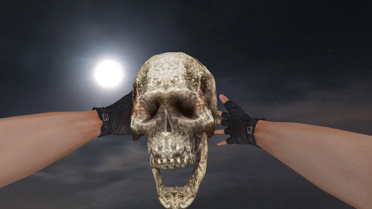 Модель «Human Skull Grenade» для CS 1.6: v_, p_, w_ гранаты, звук и анимация осмотра - скриншот 2