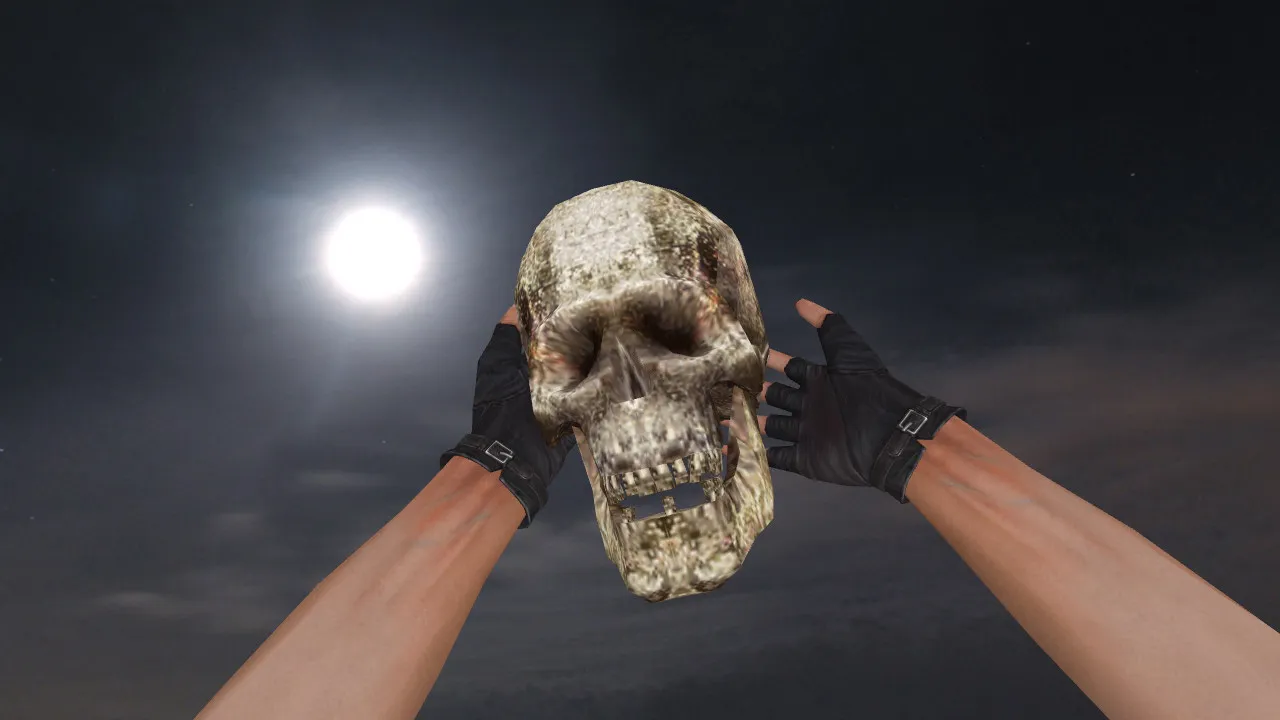 Модель «Human Skull Grenade» для CS 1.6: v_, p_, w_ гранаты, звук и анимация осмотра - скриншот 3