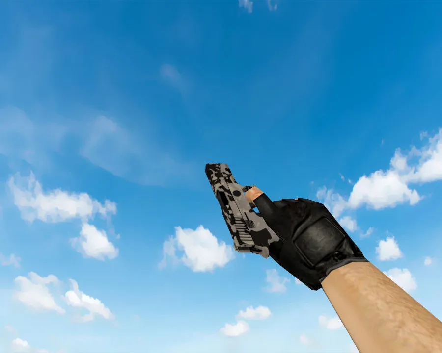 P250 | Чёрно-коричневый (Black & Tan) для CS 1.6: Детали - скриншот 2