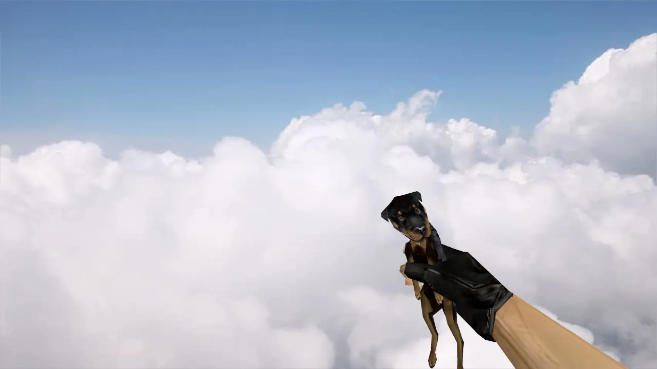 Модель «Dog Grenade» для CS 1.6: v_, p_, w_ модели, звуки, анимация осмотра и качество текстур - скриншот 1