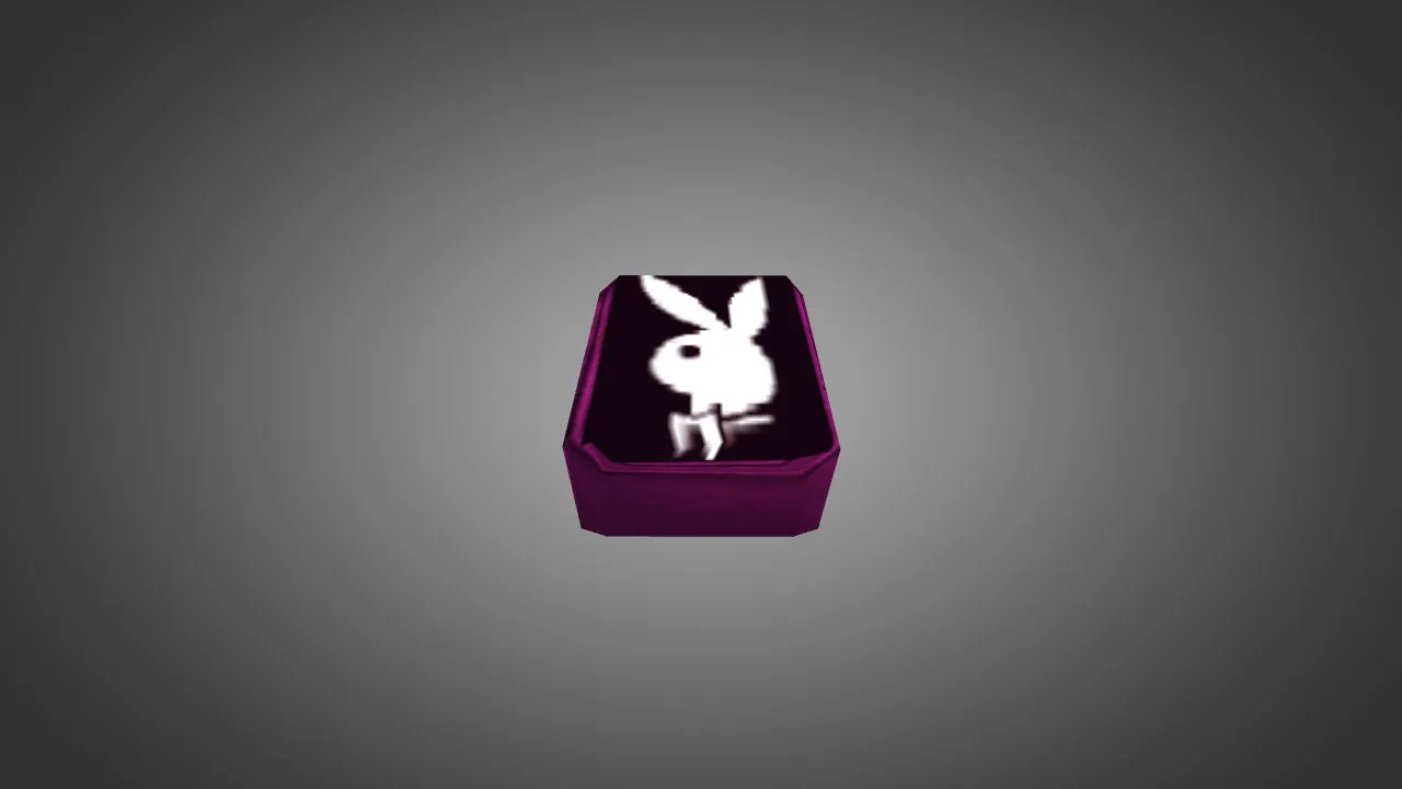 Модель «Playboy Backpack» v_ и p_ для CS 1.6: рюкзак в инвентаре, звуки, осмотр и текстуры - скриншот 3